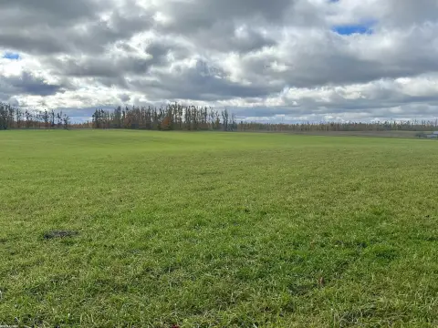 Agricultural Land with Wooded Acreage