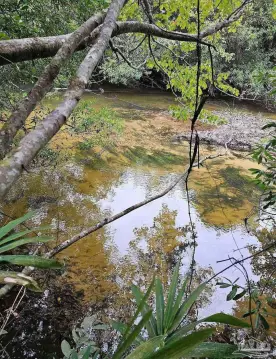 Creek Front Land in Milton