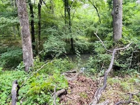 Recreational Hunting Land with Creek Beds