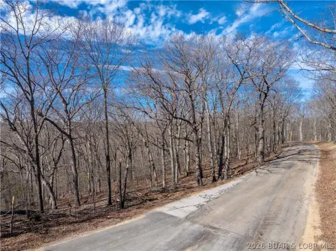 Wooded Acreage on Paved Road