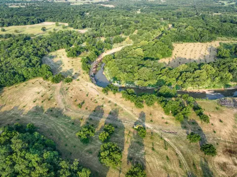 Agricultural Land with Pecan Trees