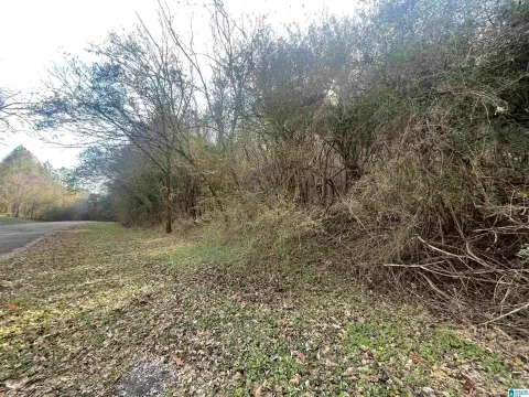 Graysville Land Opportunity