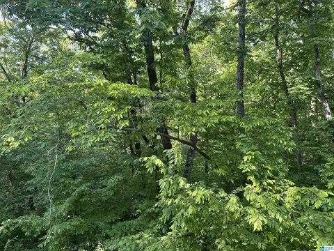 Land For Sale in ALPINE