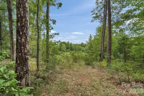 65-Acre Hunting Land Tract