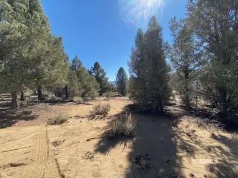 Off-Grid Raw Land Parcel