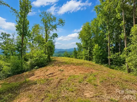 Recreational Land with Homesite Prep