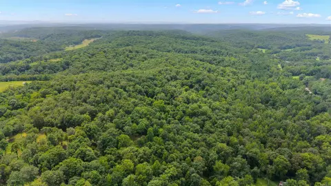 Wooded Recreational Land Tract