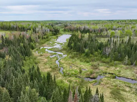 Large Recreational/Hunting Land Available