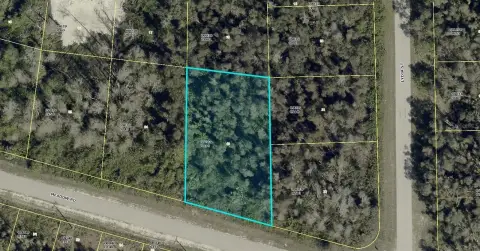 Vacant Lot in Lehigh Acres