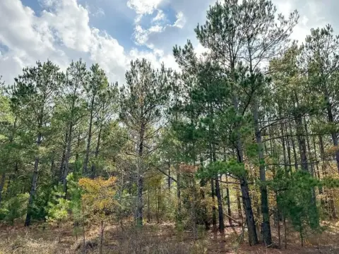 Hughes Springs Ranch Land Available