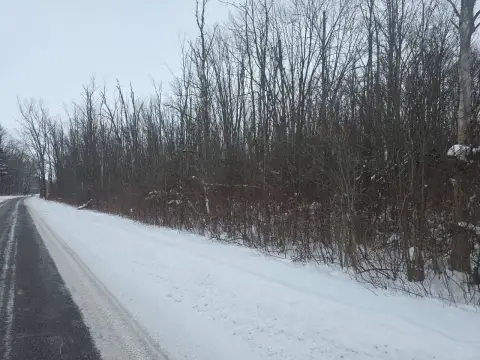 Land Near Oneida Lake