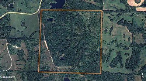 Mature Deer Hunting Farm