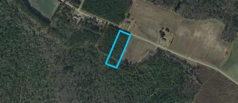 Forested Homesite Acreage with Road Frontage