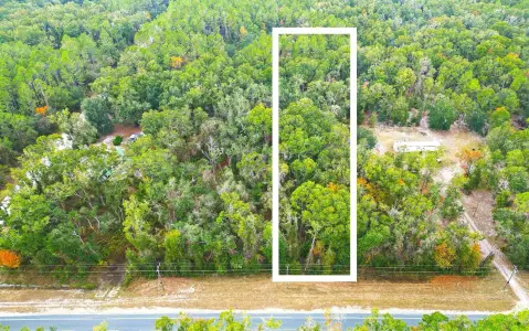 Wooded Lot Near Suwannee River
