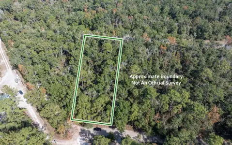 Wooded Acreage in O'Brien, Florida
