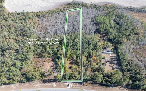 Wooded Recreation Land