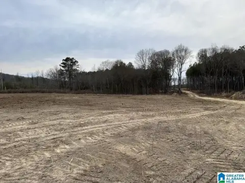 Mostly Flat Wooded Land Tract