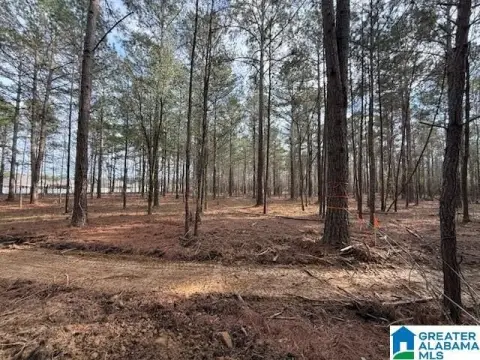 Land in Sylacauga, Alabama