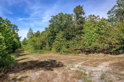 Shirley, AR Mountain Top Retreat