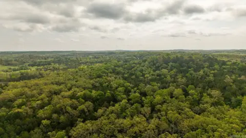 Recreational Hunting Land Tract