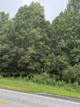 Hunting Land with Road Frontage