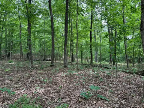 Smithville Vacant Land with Stream