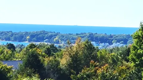 Onekama Land with Lake Views