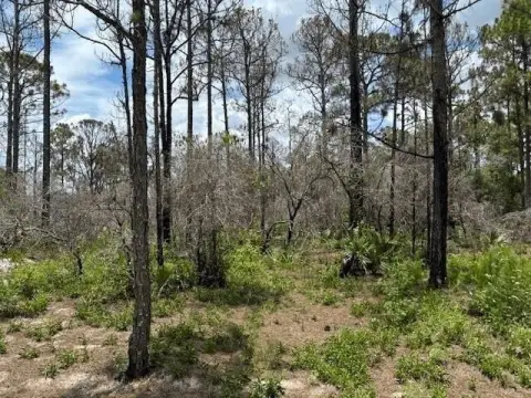 Lake Placid Building Lot