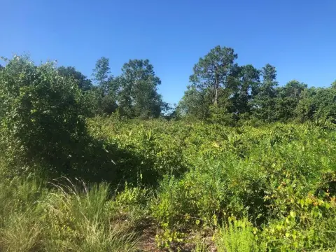 Avon Park Building Lot