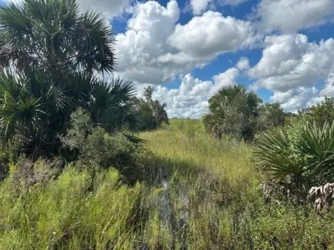 Okeechobee Land Near State Park