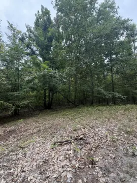 Wooded Hunting Land