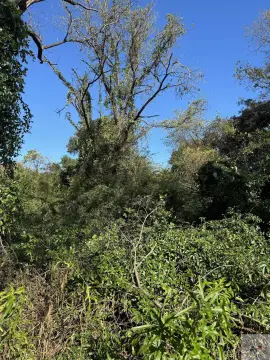 Land For Sale, Texarkana