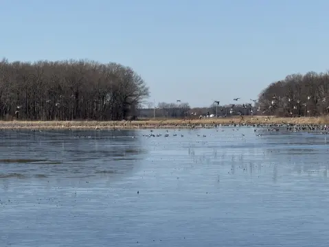 Agricultural Hunting Farm with Duck Pit