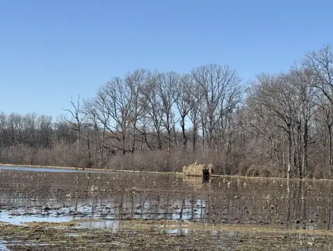 Recreational Waterfowl and Cropland Farm