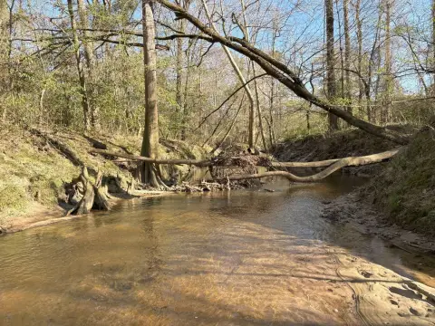 34 Acres Hunting Land in Jena