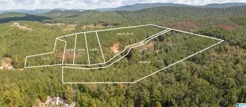 Piedmont Acreage Near National Forest