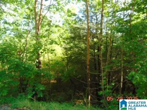 Land For Sale in Clanton