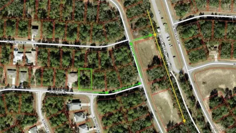 Cleared Land in Citrus Springs
