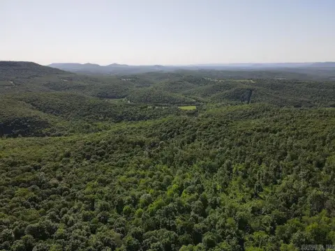 Secluded Timber Tract Near Buffalo