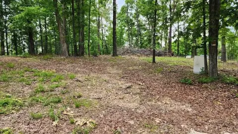 Land with Current River Access