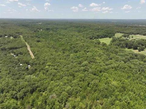 Wooded Residential Land Lot