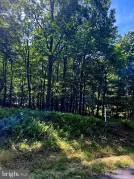 Farmland Parcel with Mature Woods