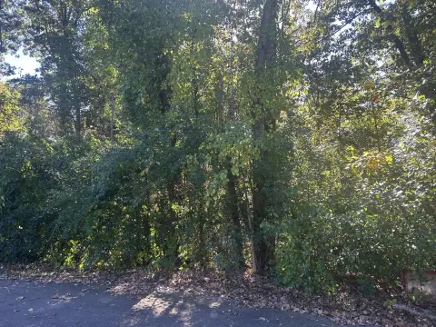 Buildable Lot in Battle Creek