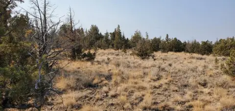 Residential Land in Prineville, Oregon