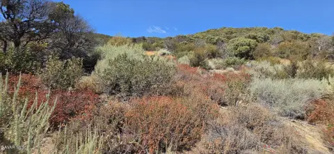 Rural Land with Two Wells