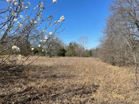 Atoka Vacant Land For Sale