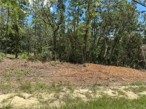 Citrus Springs Land For Sale