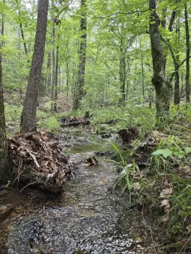 Mena Acreage with Hunting Cabin