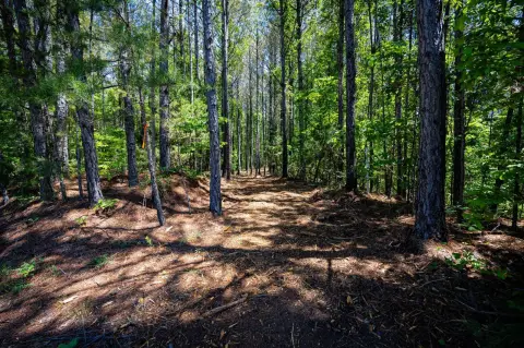 Land Near Fulton, MS