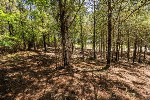 Land Near Fulton, MS